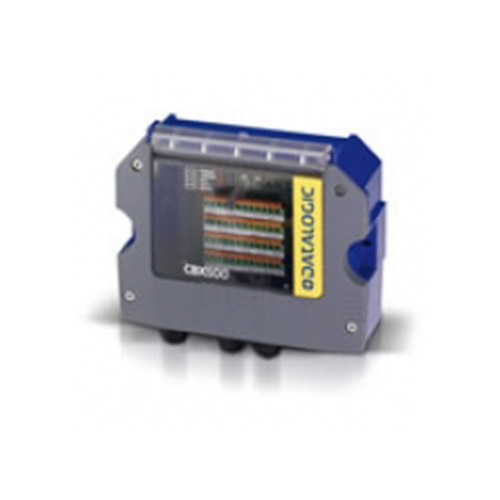 rose_0065_datalogiccbx500